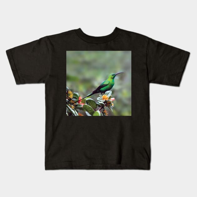 Gorgeous Malachite Sunbird | African Wildlife Kids T-Shirt by scotch